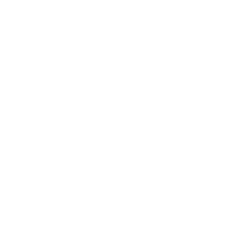 Vision by Lotfi